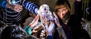 Ein Highlight für Kinder: Die Taschenlampenführung im Naturkundemuseum Potsdam. Wieder am 21. November und am 19. Dezember 2020.