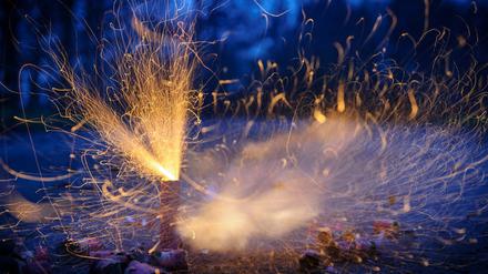 Die Potsdamer Grünen wollen ein Böllerverbot an Silvester.