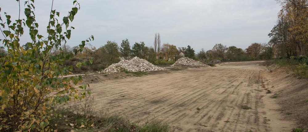Auf dem Gelände des alten Tramdepots an der Heinrich-Mann-Allee sollen bald die Bauarbeiten für Wohnungen beginnen.
