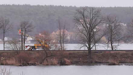 Biber hatten den Damm beschädigt.