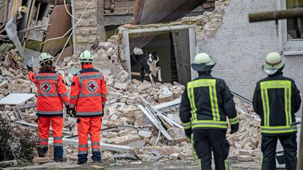 Ein Suchhund des DRK ist in den Trümmern eines durch eine Explosion zerstörten Hauses in Hohen Neuendorf im Einsatz.