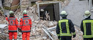Ein Suchhund des DRK ist in den Trümmern eines durch eine Explosion zerstörten Hauses in Hohen Neuendorf im Einsatz.