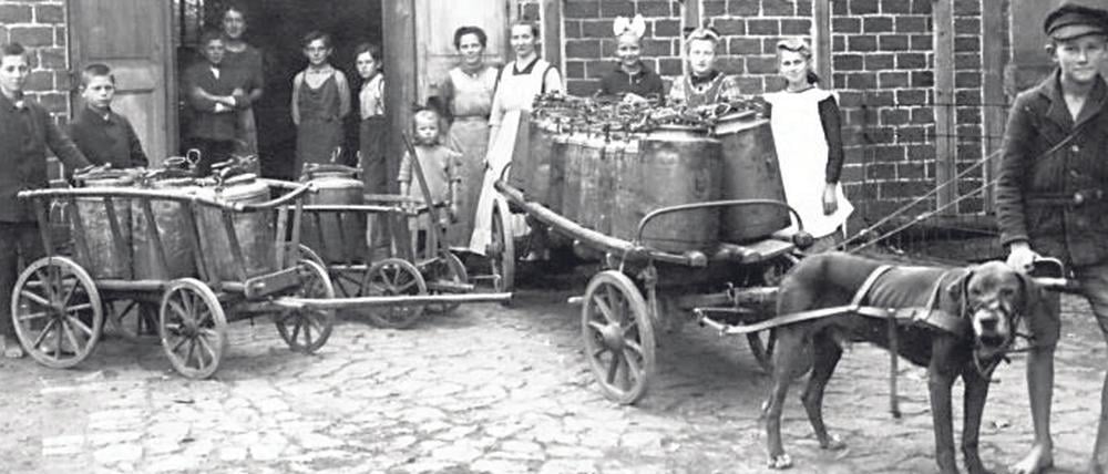 Vor 100 Jahren starteten die Hilfsaktionen auch in Potsdam. 