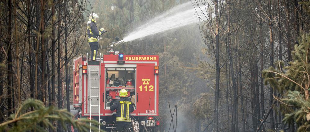 Bei den verheerenden Waldbränden bei Jüterbog entstanden massive Schäden.