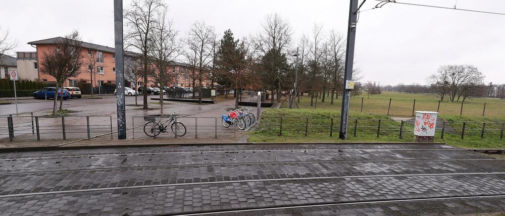 Die Anlage entsteht nahe des südwestlichen Volksparkseingangs.
