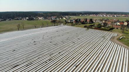 Gut abgedeckt sind die Spargelfelder bei Klaistow. Dort soll in wenigen Tagen geerntet werden.
