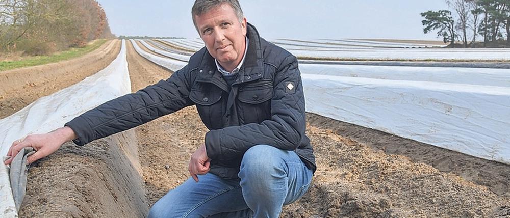 Bangen am Damm. Spargelbauer Jürgen Jakobs hofft auf Erntehelfer.