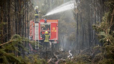 2019 kam es in Brandenburg zu mehr als 400 Waldbränden. (Archivbild)