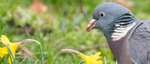 Wem langweilig ist, der kann sich als Nachwuchsforscher bei der Naturschutzjugend nützlich machen - und vielleicht gewinnen.