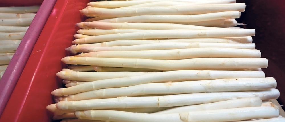Frisch gestochen. Auch Spargel, wie hier aus Schlunkendorf, ist zu haben.