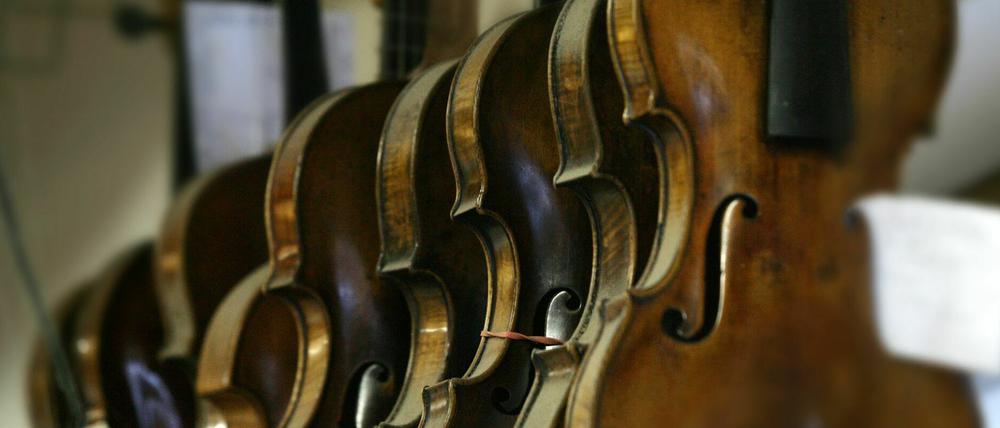 Blick in die Werkstatt von Gambenbauer Tilman Muthesius in Klein Glienicke.