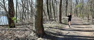 Gegen den Lagerkoller: Laufen wie hier am Griebnitzsee wirkt befreiend. 