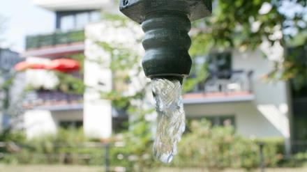 Bis Dienstag sollen die Gartenhähne in Werder zugedreht werden.