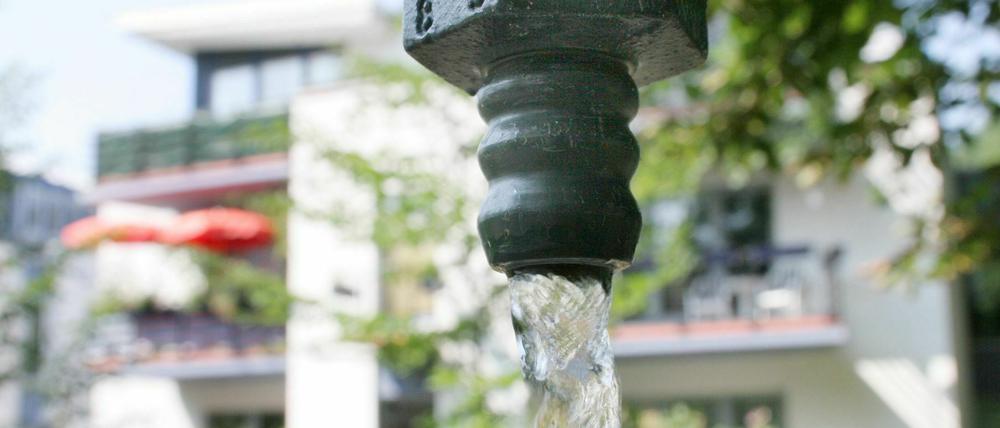 Bis Dienstag sollen die Gartenhähne in Werder zugedreht werden.