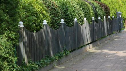 Gartenzäune werden derzeit vielfältig genutzt.