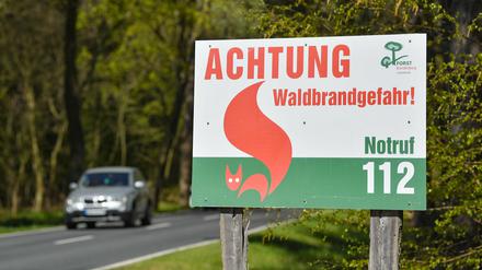 Das trockene und sehr sonnige Frühlingswetter sorgt in Brandenburg für steigende Waldbrandgefahr. 