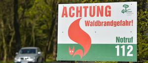 Das trockene und sehr sonnige Frühlingswetter sorgt in Brandenburg für steigende Waldbrandgefahr. 