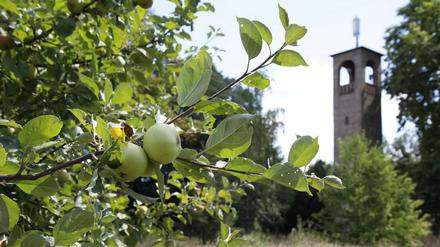 Schönes Ausflugsziel: Der Persiusturm in der Bornimer Feldflur.