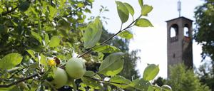 Schönes Ausflugsziel: Der Persiusturm in der Bornimer Feldflur.