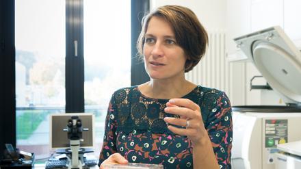 Katja Hanack ist Professorin an der Universität Potsdam und baut in ihrem Labor einzelne Teile des Immunsystems nach.