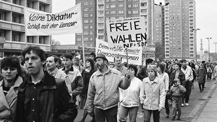 Blumrich dokumentierte Demonstrationen wie die Massenkundgebung am 4. November 1989.