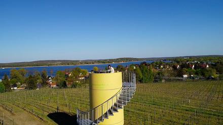 Der elektronische Musiker Matthew Lee auf dem Aussichtsturm auf dem Wachtelberg.