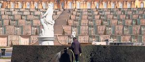 Die gegenwärtige Trockenheit setzt Bäumen und Pflanzen zu. 