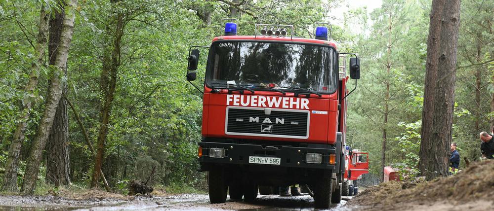 Die erwarteten vereinzelten Regenschauer werden die akute Waldbrandgefahr in Brandenburg nicht mindern.