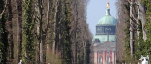 Der Bau des Neuen Palais wurde 1763 begonnen und 1769 abgeschlossen.