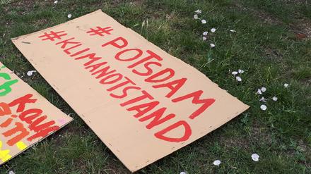 Klima-Demo am 16. Juni 2019 in Potsdam.