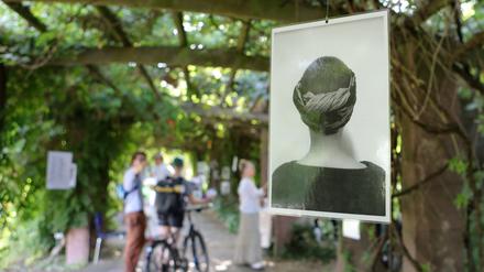 Das Localize-Festival fand 2019 auf der Freundschaftsinsel in Potsdam statt - an einem Wochenende.