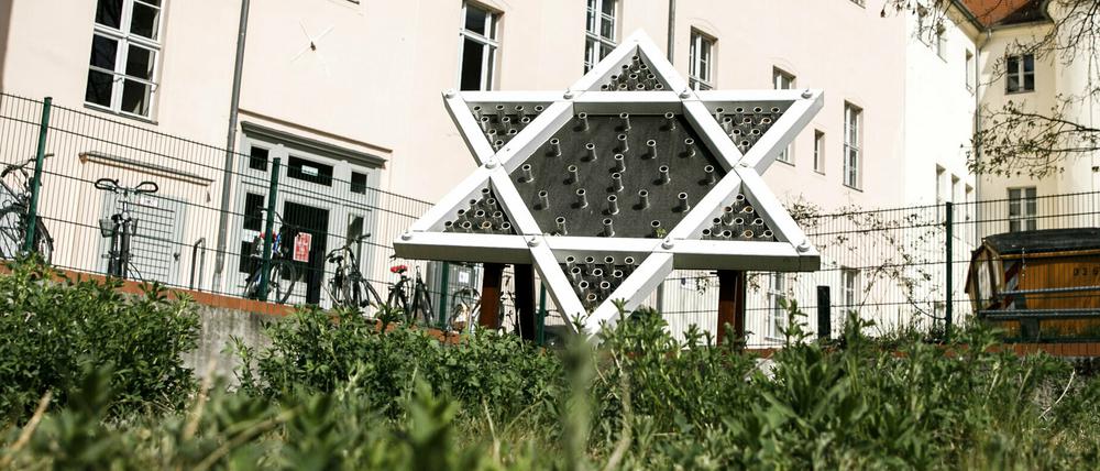 Ein Davidsstern steht auf dem dem Grundstück gegenüber dem Potsdamer Filmmuseum. Hier soll die Neue Synagoge entstehen.