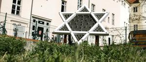 Ein Davidsstern steht auf dem dem Grundstück gegenüber dem Potsdamer Filmmuseum. Hier soll die Neue Synagoge entstehen.