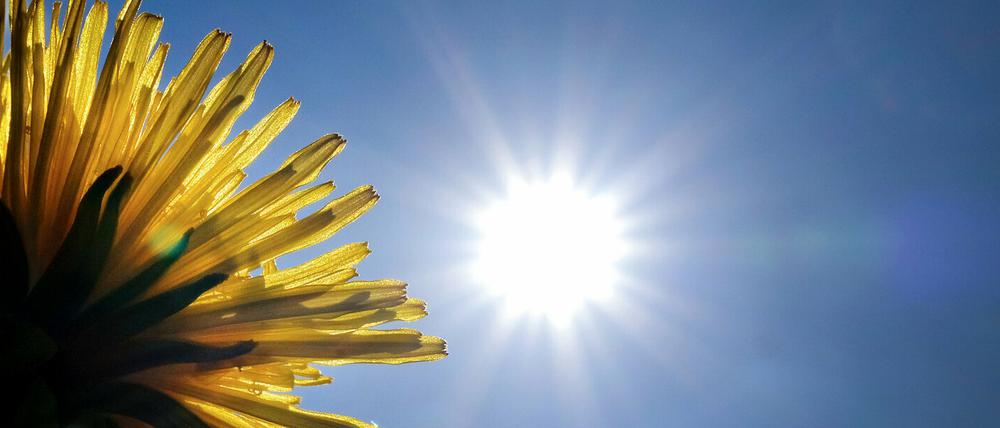 Bis zum Muttertag wird es richtig schön in Brandenburg und Berlin.