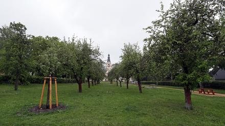 Schlosspark Güterfelde