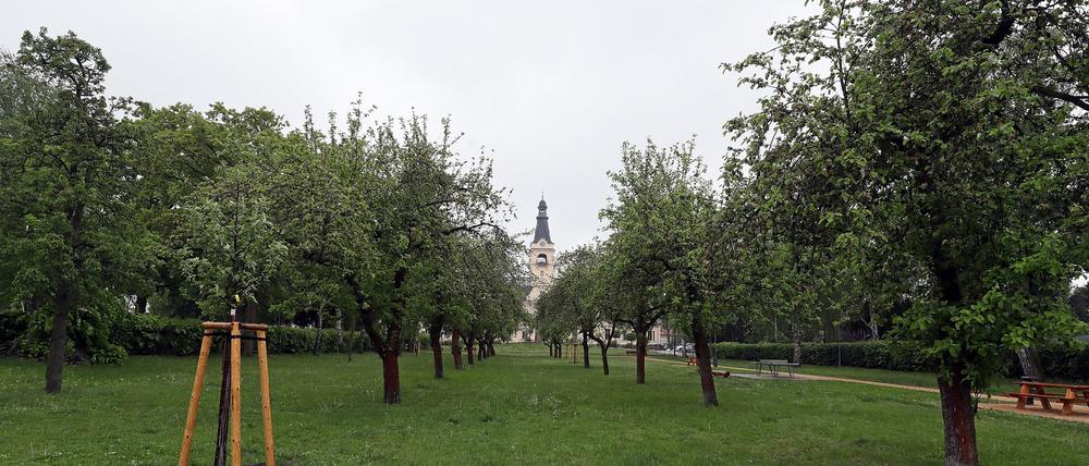 Schlosspark Güterfelde