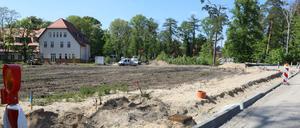Startschuss fürs Städtchen. Erste Bäume sind auf der Baustelle am Bahnhof in Beelitz-Heilstätten bereits gefällt worden.