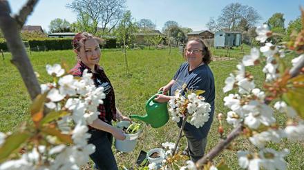 Die Stadtrandelfen in Bornstedt.