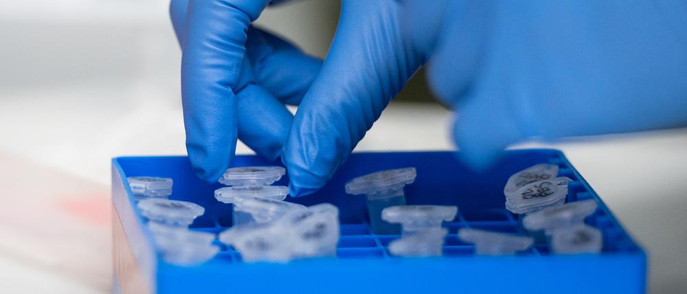 Insgesamt verzeichnet der Kreis aktuell 519 Coronafälle, 277 Menschen gelten als genesen.