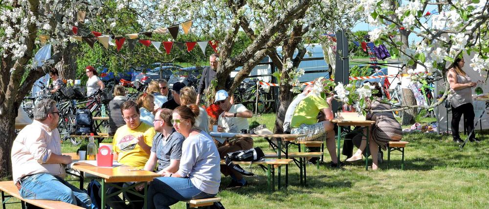 Entspannt die Baumblüten genießen in den Plantagen am Obstpanoramaweg.