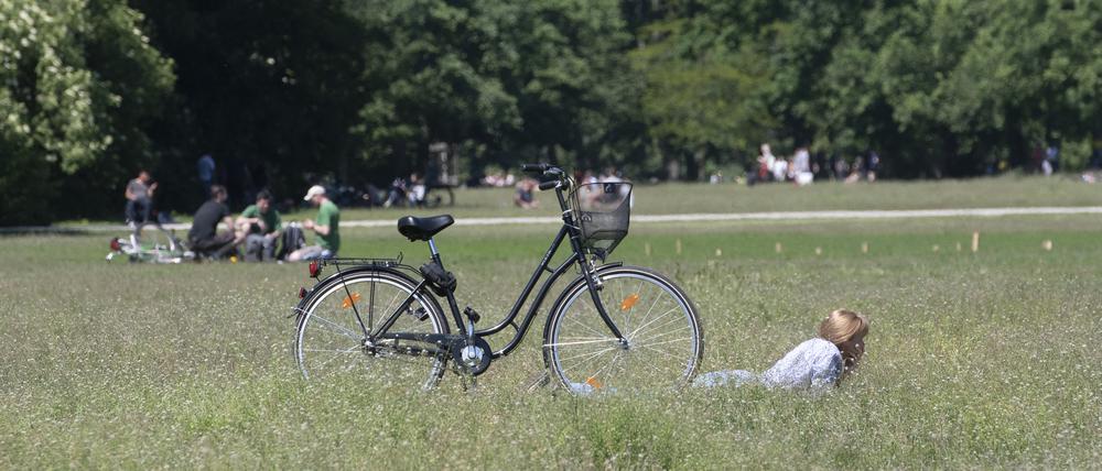 Eine Frau liegt am Vatertag auf einer Wiese.