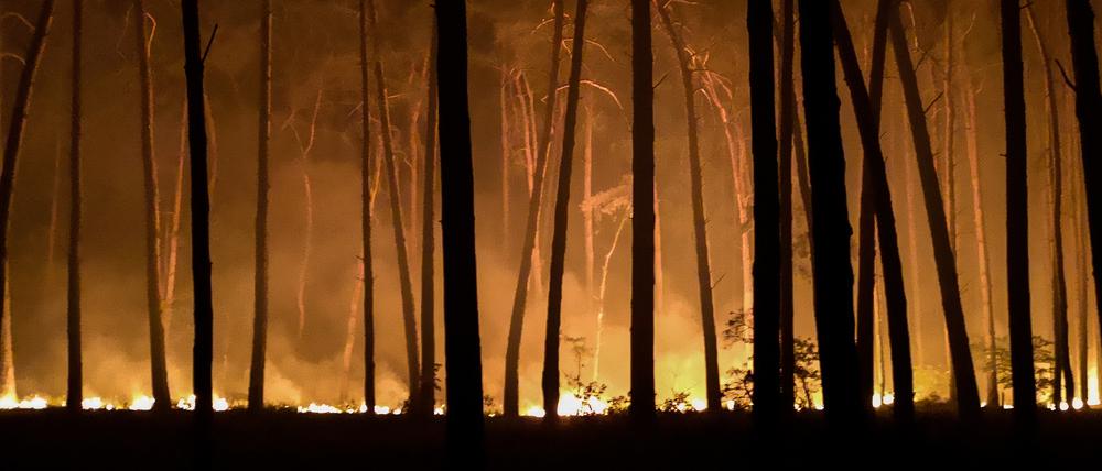 Ein Waldbrand im vergangenen Jahr Anfang Juni in der Nähe von Jüterbog (Teltow-Fläming).
