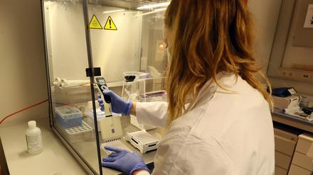 In Potsdam wurde in den vergangenen Tagen nur ein neuer Corona-Fall gemeldet.