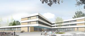 Die geplante neue sternenförmige Gesamtschule in Teltow.