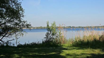 Den Blick mal wieder über den Großen Zernsee schweifen lassen - das könnte man Pfingsten in Ruhe machen.