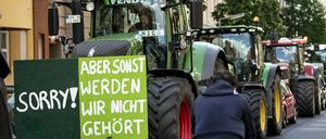 Mit Traktoren-Konvois in zahlreichen Städten machten Landwirte ihrem Protest gegen die Agrarpolitik Luft.