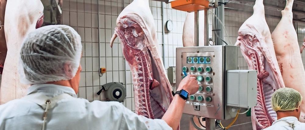 Kontrolle in Schlachthöfen. Nach Coronainfektionen in mehreren fleischverarbeitenden Betrieben haben auch in Brandenburg die Behörden begonnen, unangemeldete Kontrollen bei den Unternehmen durchzuführen.