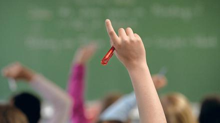 Brandenburgs Schulen sollen nach den Sommerferien in den Alltag zurückkehren.