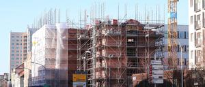 Die Garnisonkirchen-Baustelle an der Breite Straße.