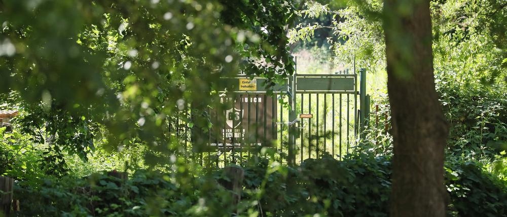 Die Stadtverwaltung plädierte für einen Erhalt der Kleingärten am Angergrund.